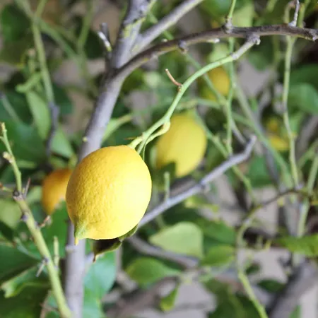 Lejlighed Polonijo Nada Krk Town