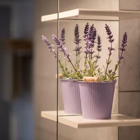 Polonijo Nada * Krk Town