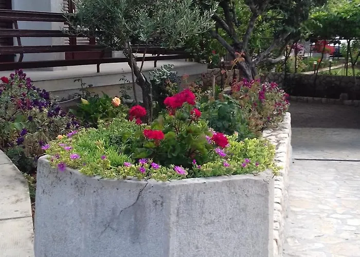 Polonijo Nada Krk Town