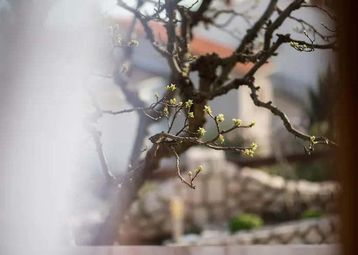 Polonijo Nada Krk Town