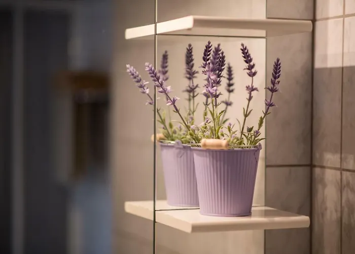 Polonijo Nada * Krk Town